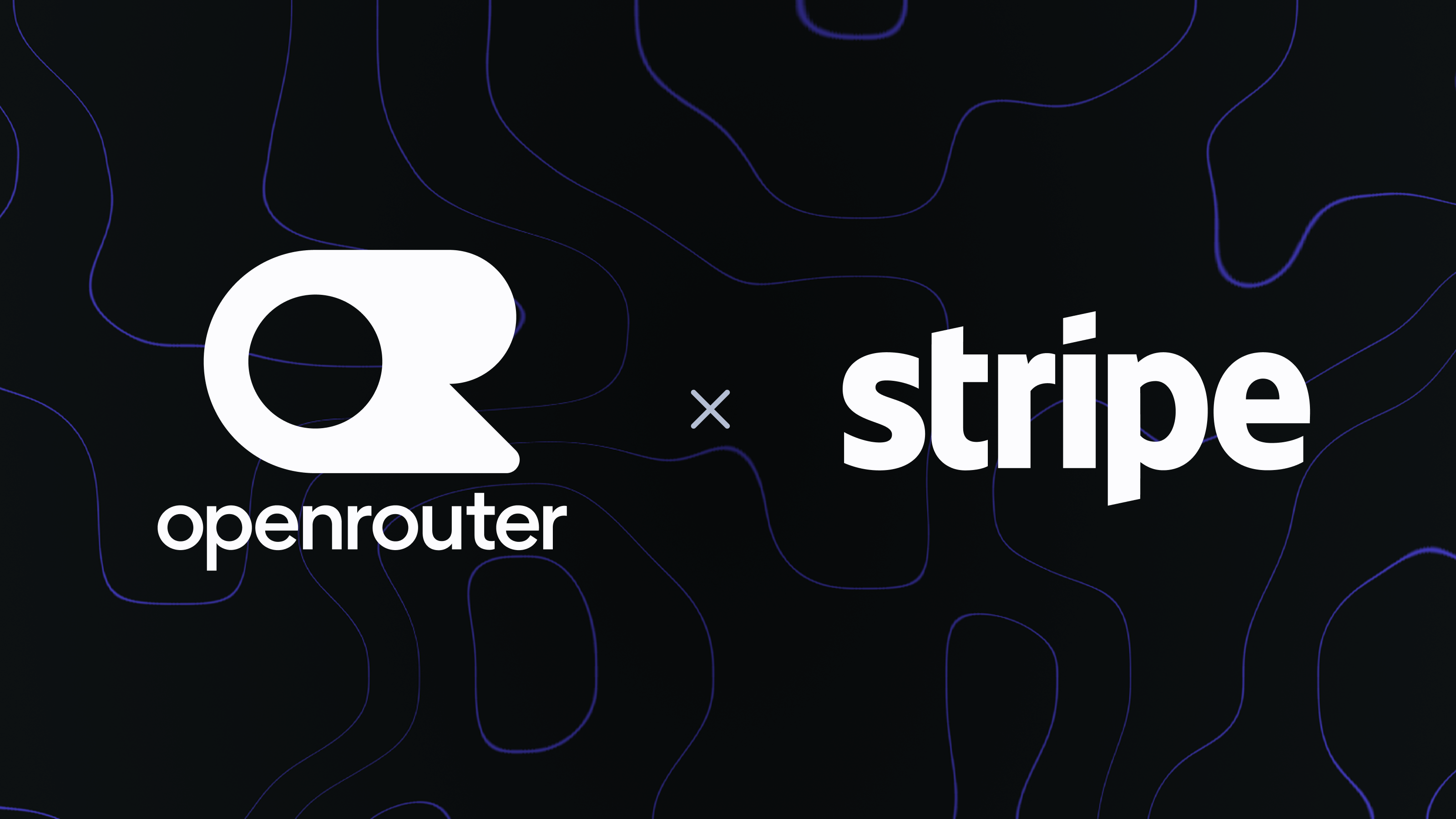Dark partnership graphic with large white OpenRouter and Stripe logos separated by an ×. Thin, glowing purple contour-like lines cover the black background.