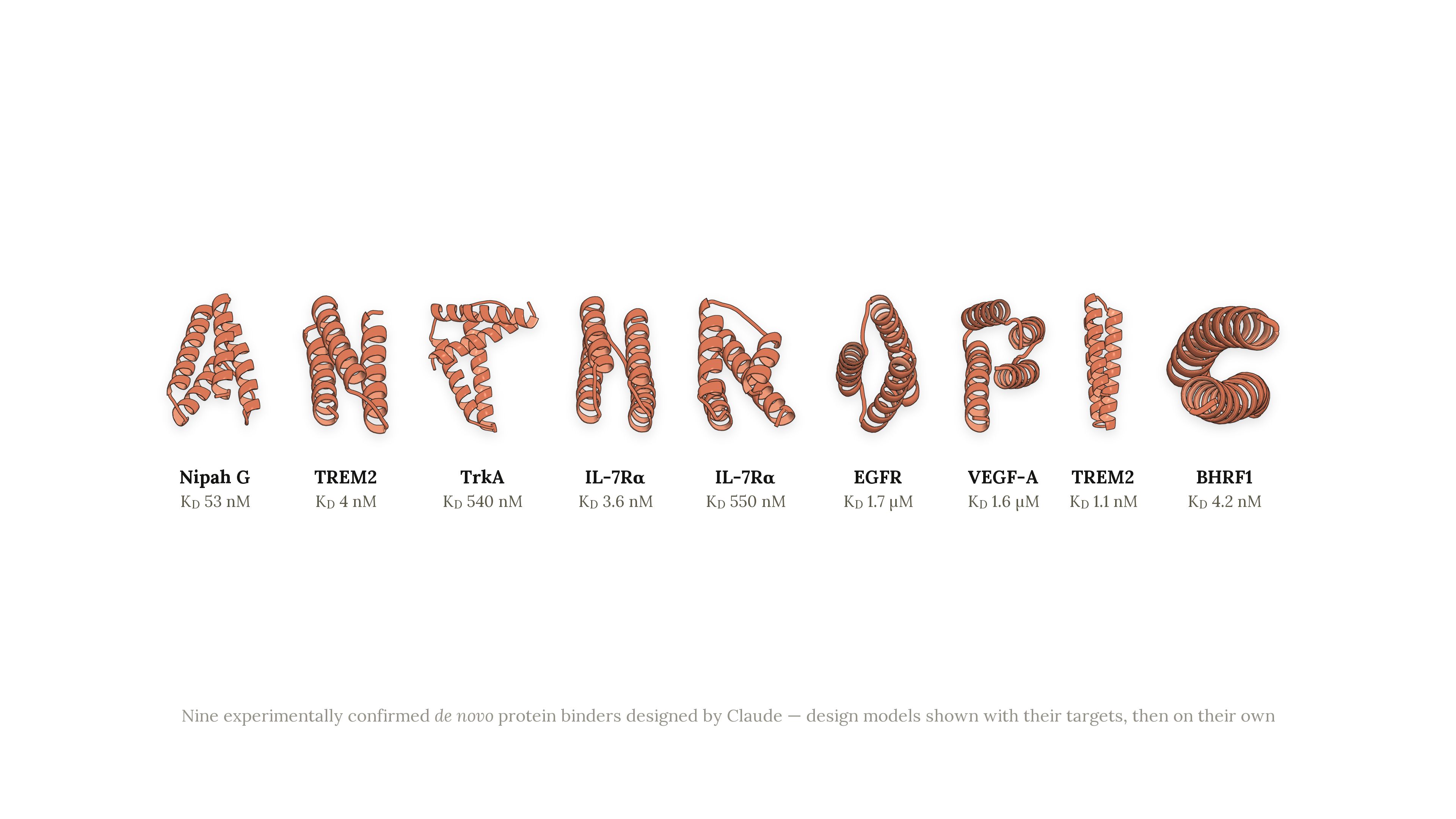 A horizontal gallery of nine orange ribbon-style protein structures labeled as experimentally confirmed de novo protein binders designed by Claude. From left to right, the targets and reported dissociation constants are Nipah G, KD 53 nM; TREM2, KD 4 nM; TrkA, KD 540 nM; IL-7Rα, KD 3.6 nM; IL-7Rα, KD 550 nM; EGFR, KD 1.7 μM; VEGF-A, KD 1.6 μM; TREM2, KD 1.1 nM; and BHRF1, KD 4.2 nM. The tightest reported binder is the second TREM2 design at 1.1 nM.